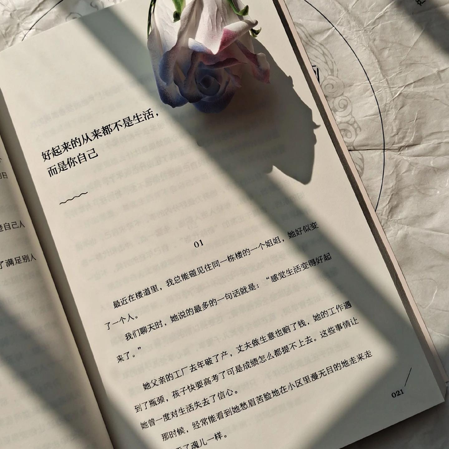 好起来的从来都不是生活,而是你自己