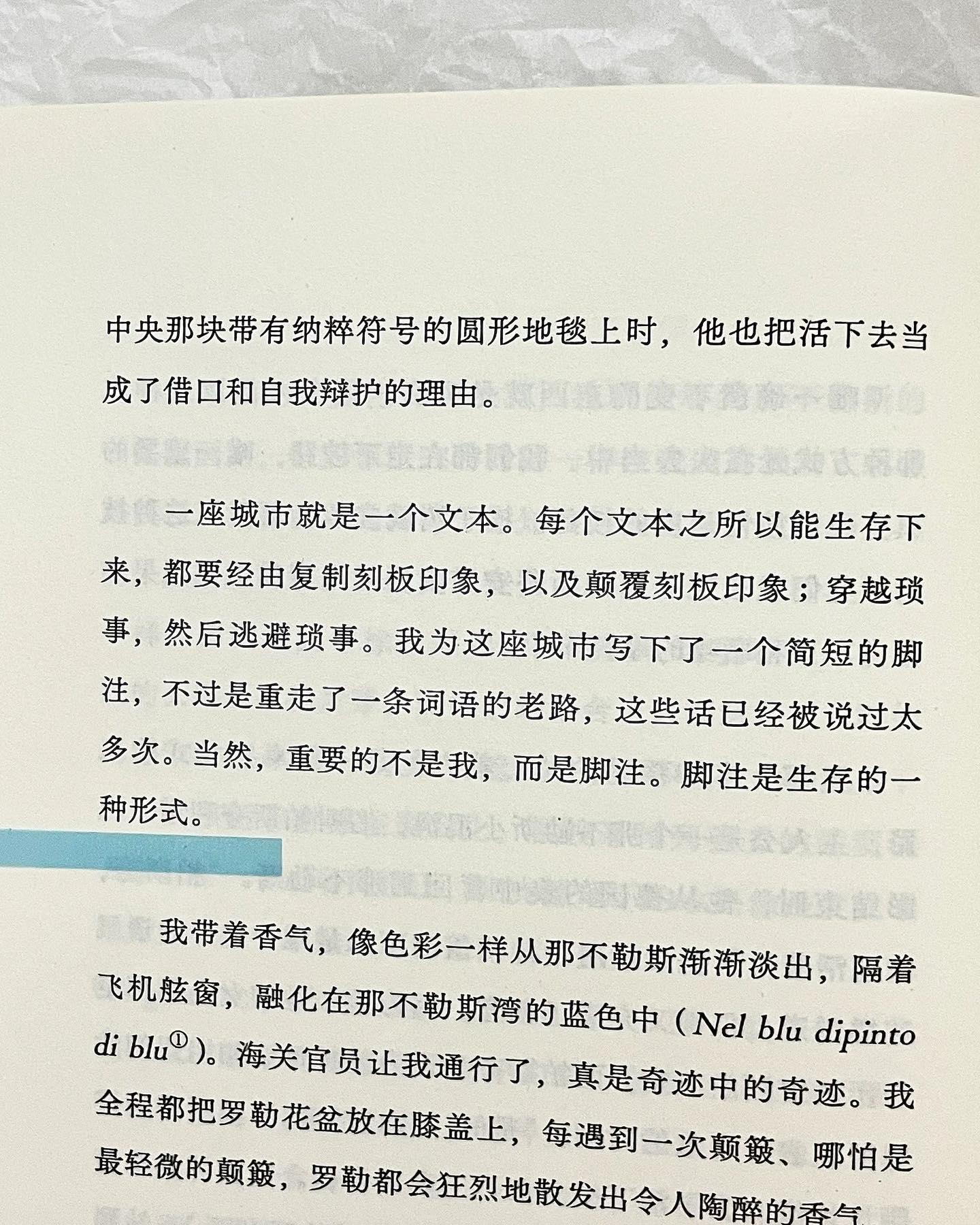 狐狸