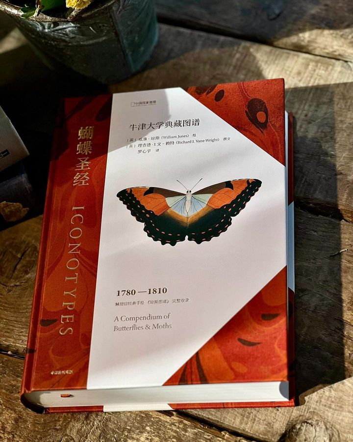 蝴蝶圣经