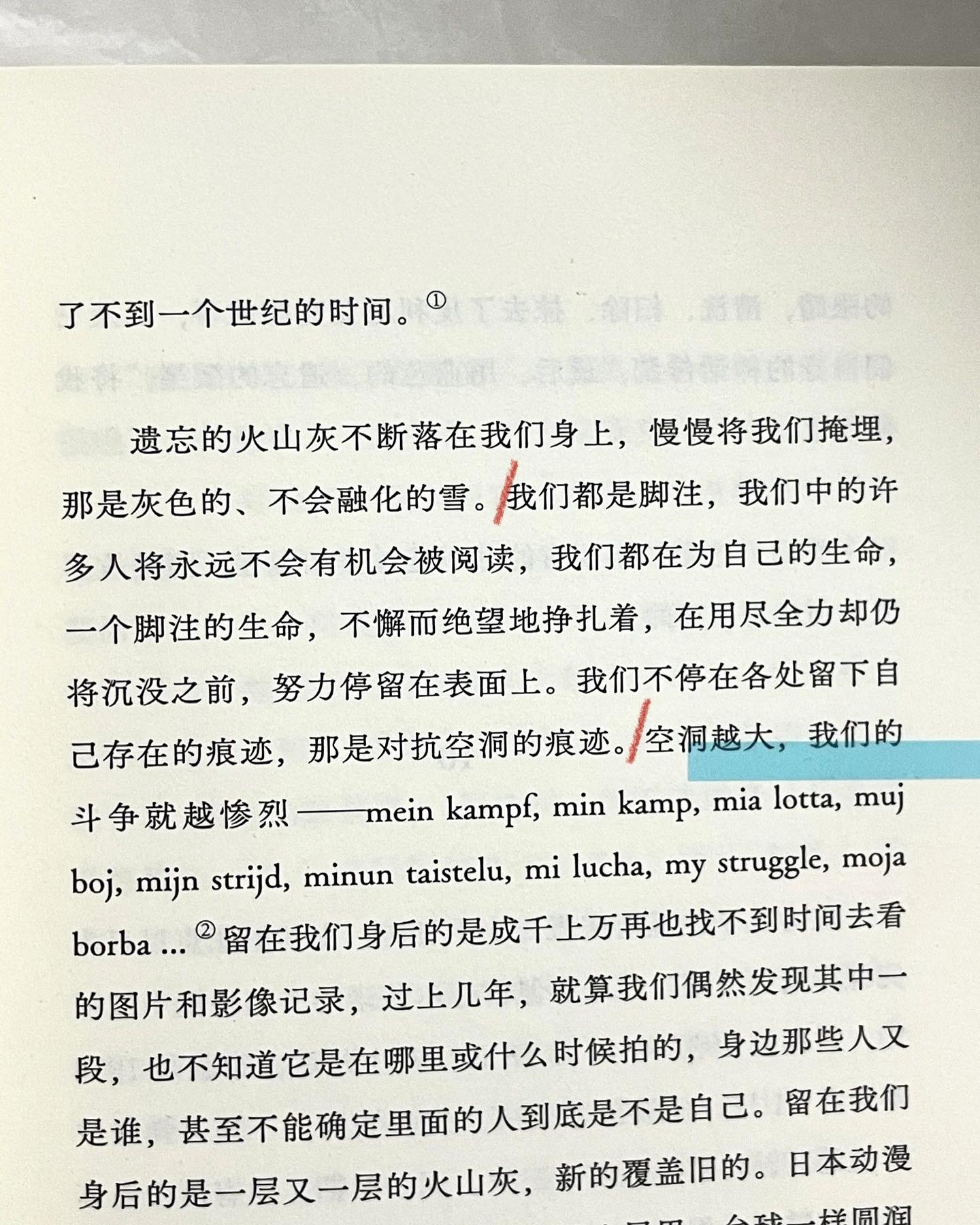狐狸