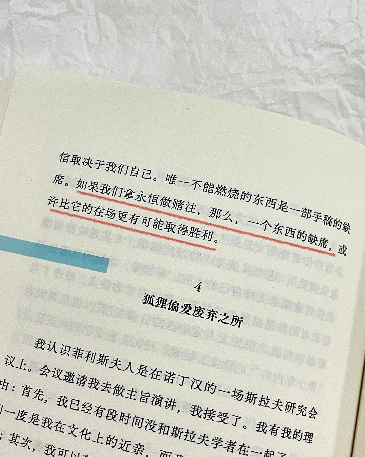 狐狸