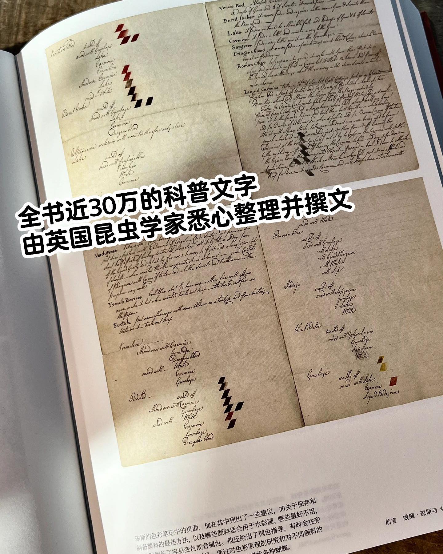 蝴蝶圣经