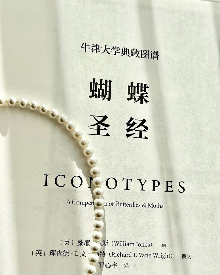 蝴蝶圣经