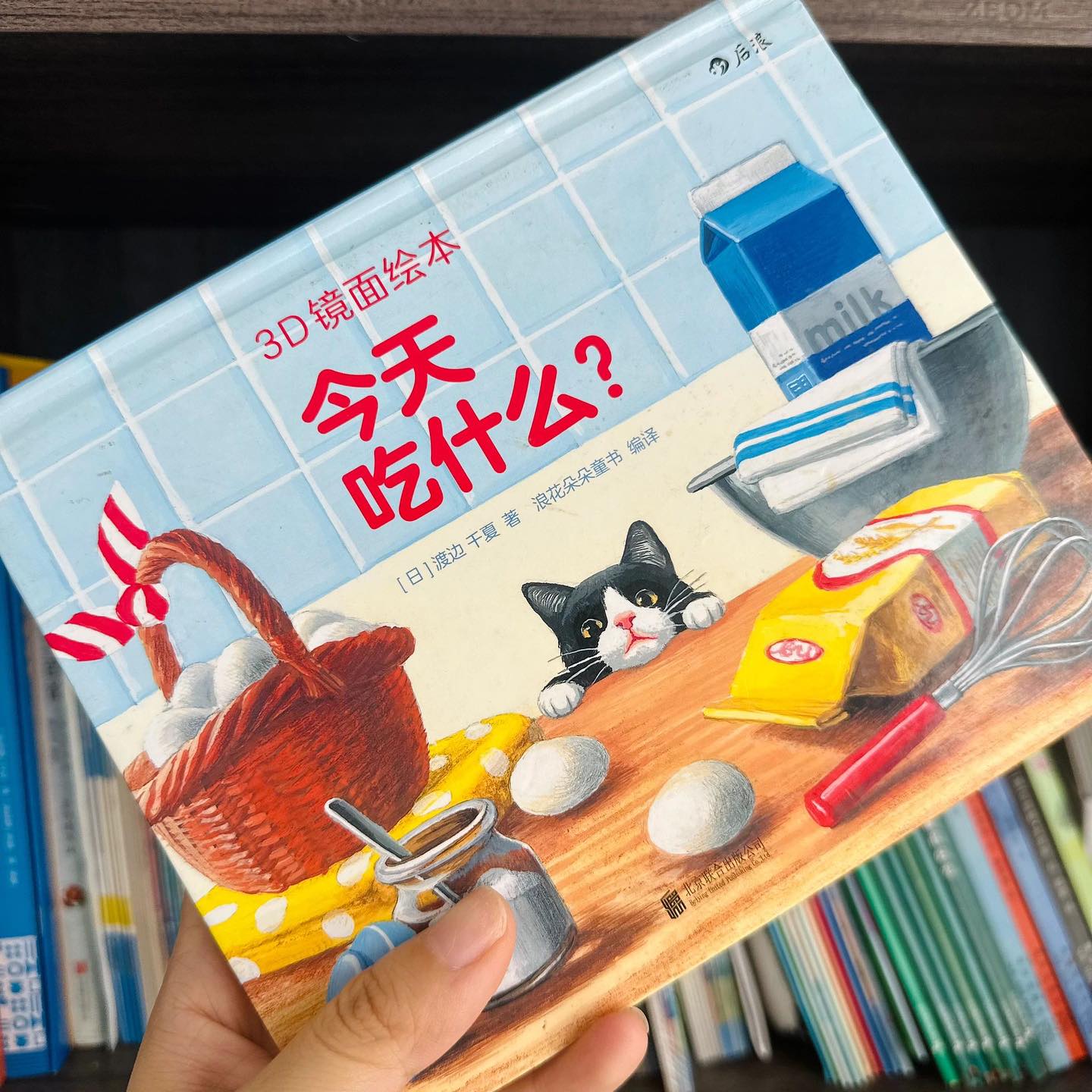 今天吃什么