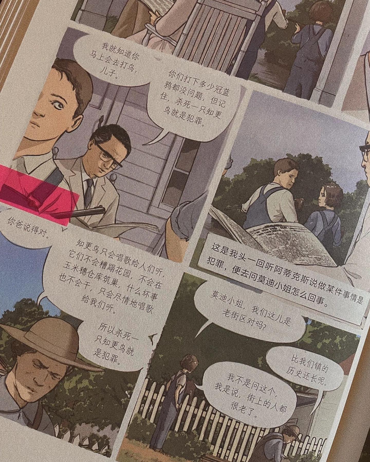 杀死一只知更鸟