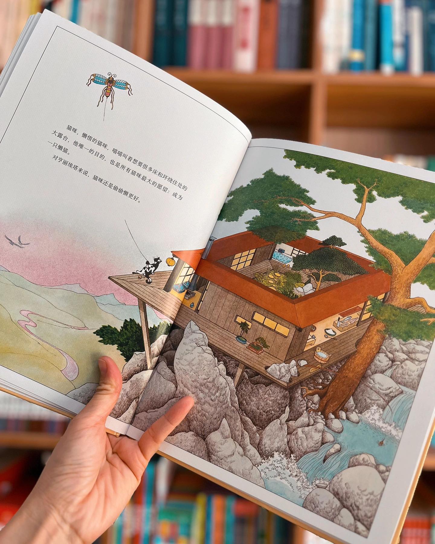 老鼠小姐的定制建筑公司