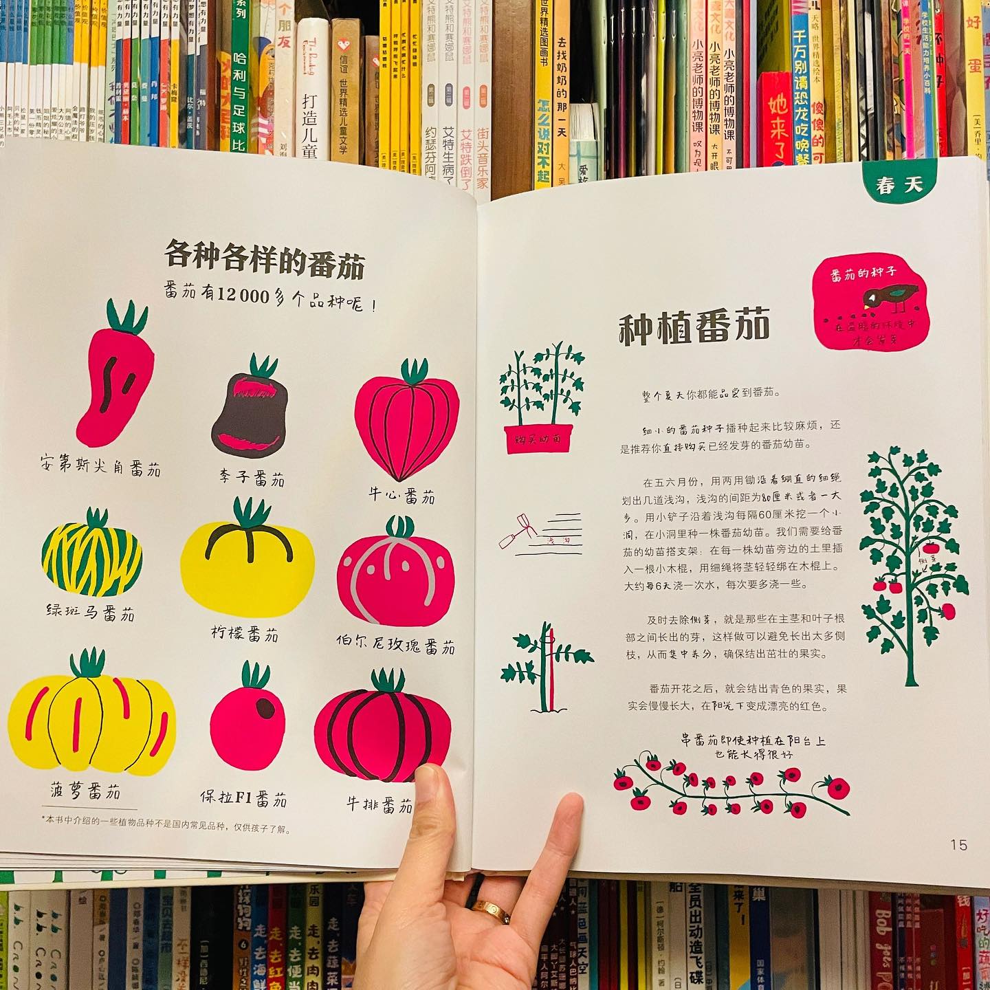 给孩子的种植大书