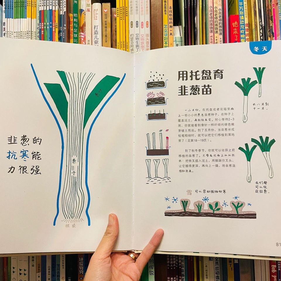 给孩子的种植大书