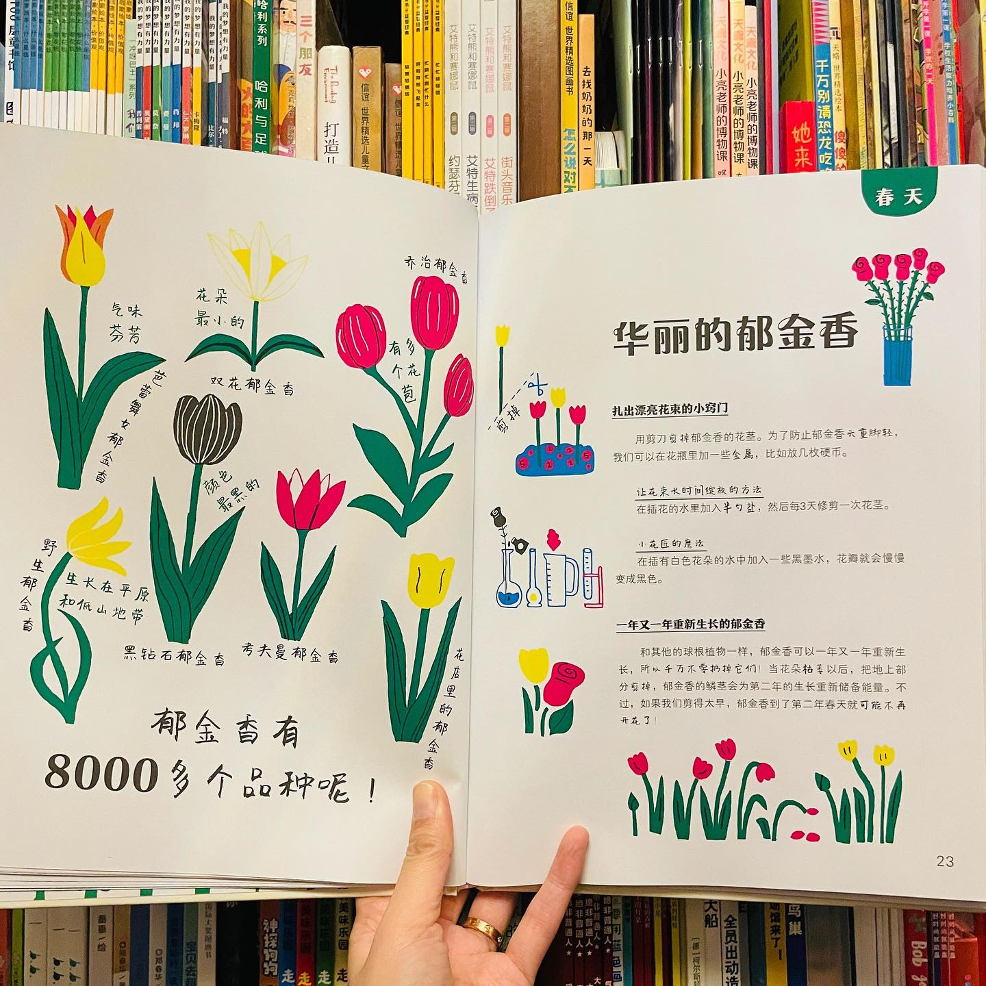 给孩子的种植大书