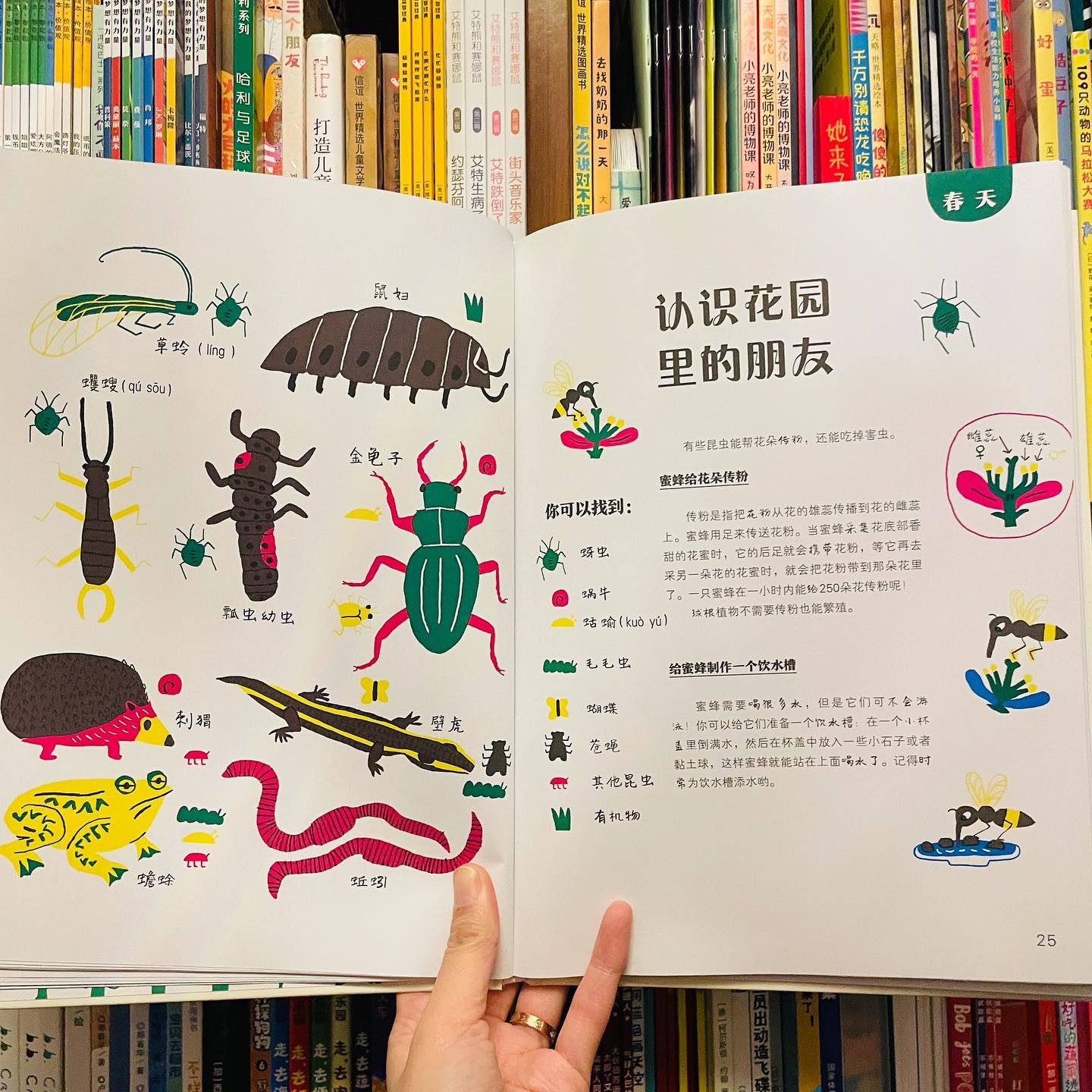给孩子的种植大书