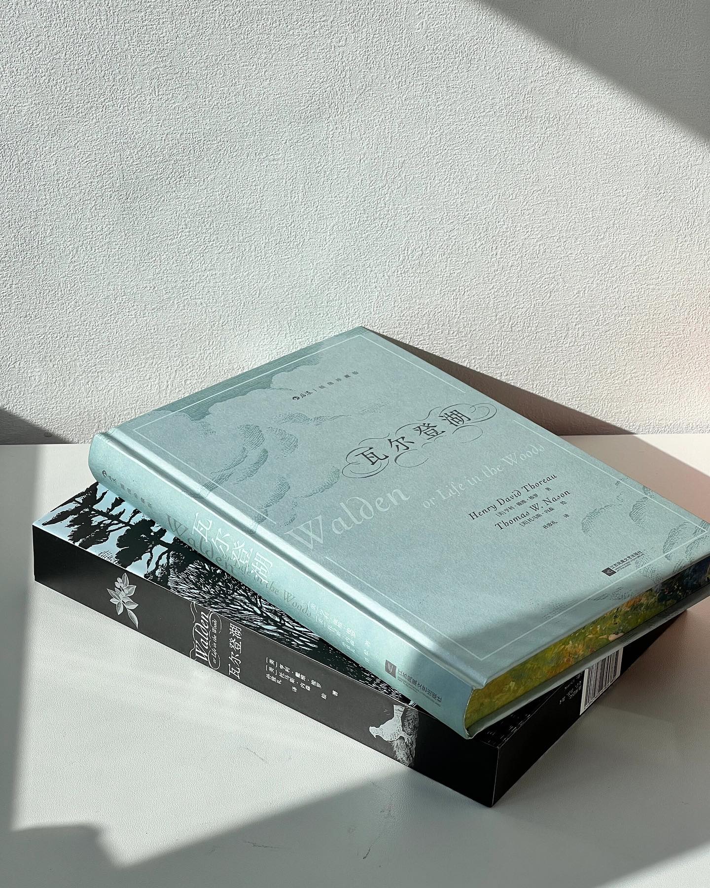瓦尔登湖·刷边珍藏版