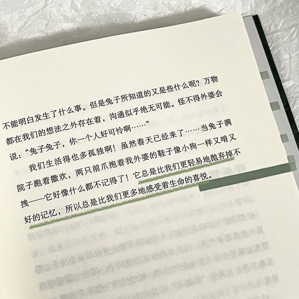 阿勒泰的角落