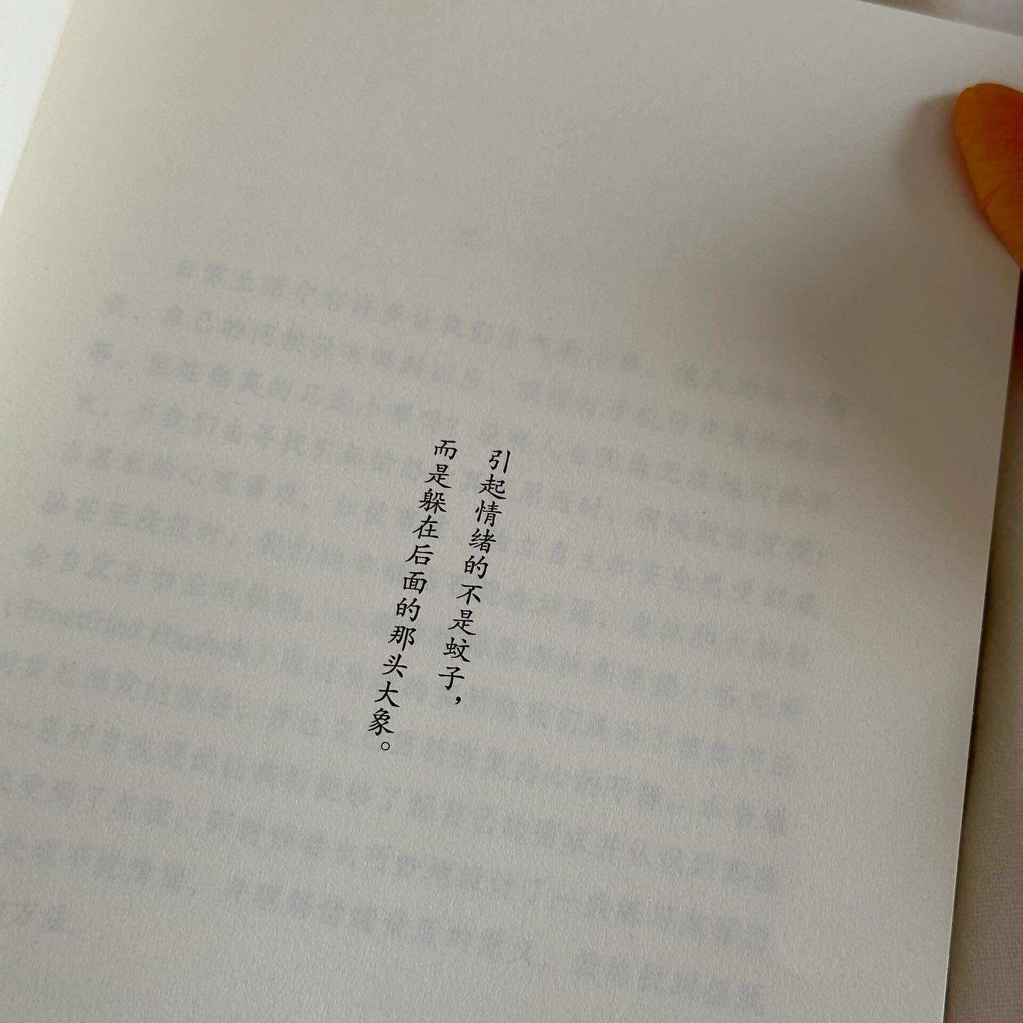 躲在蚊子后面的大象