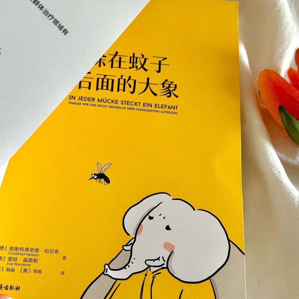躲在蚊子后面的大象