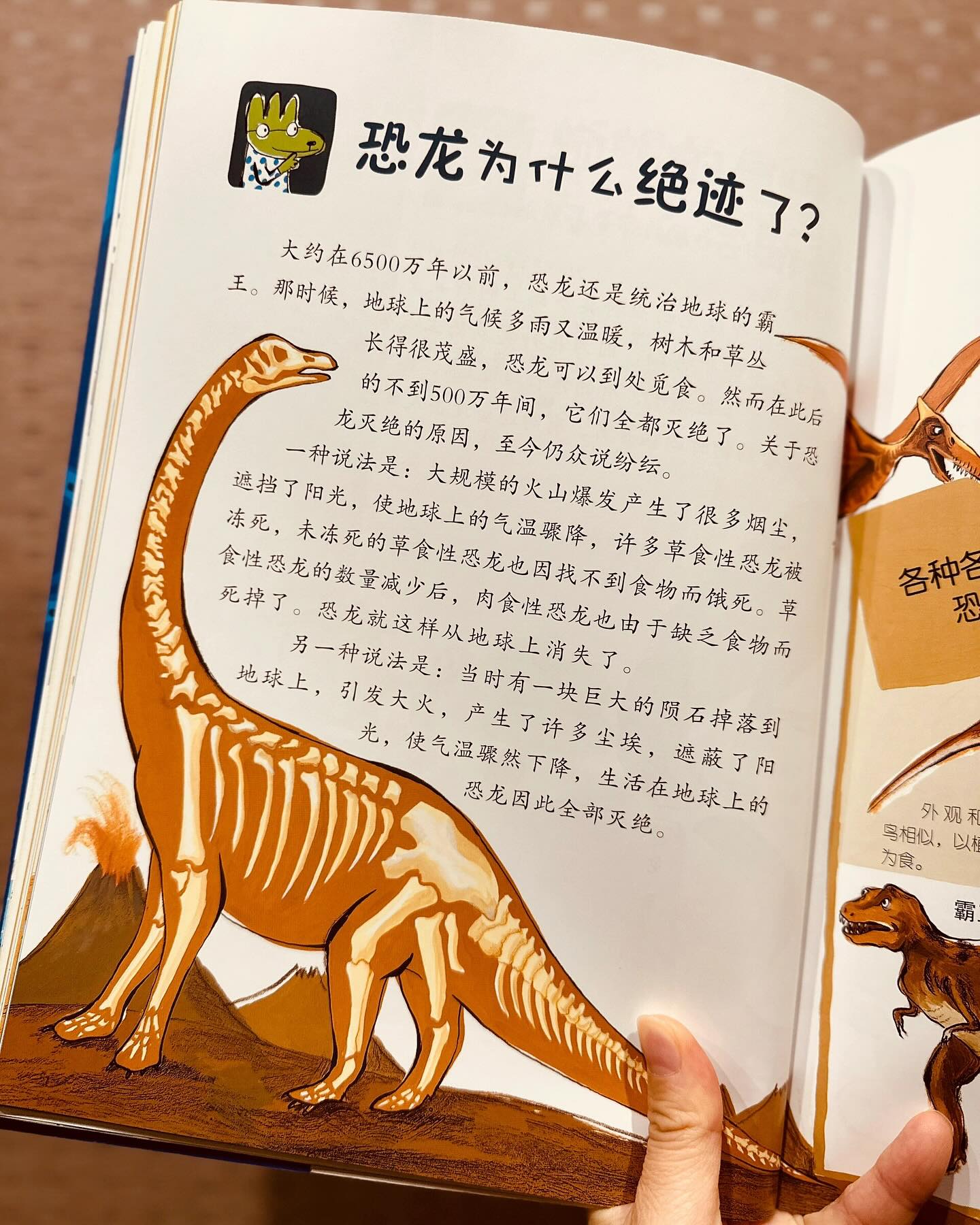 儿童好奇心大百科