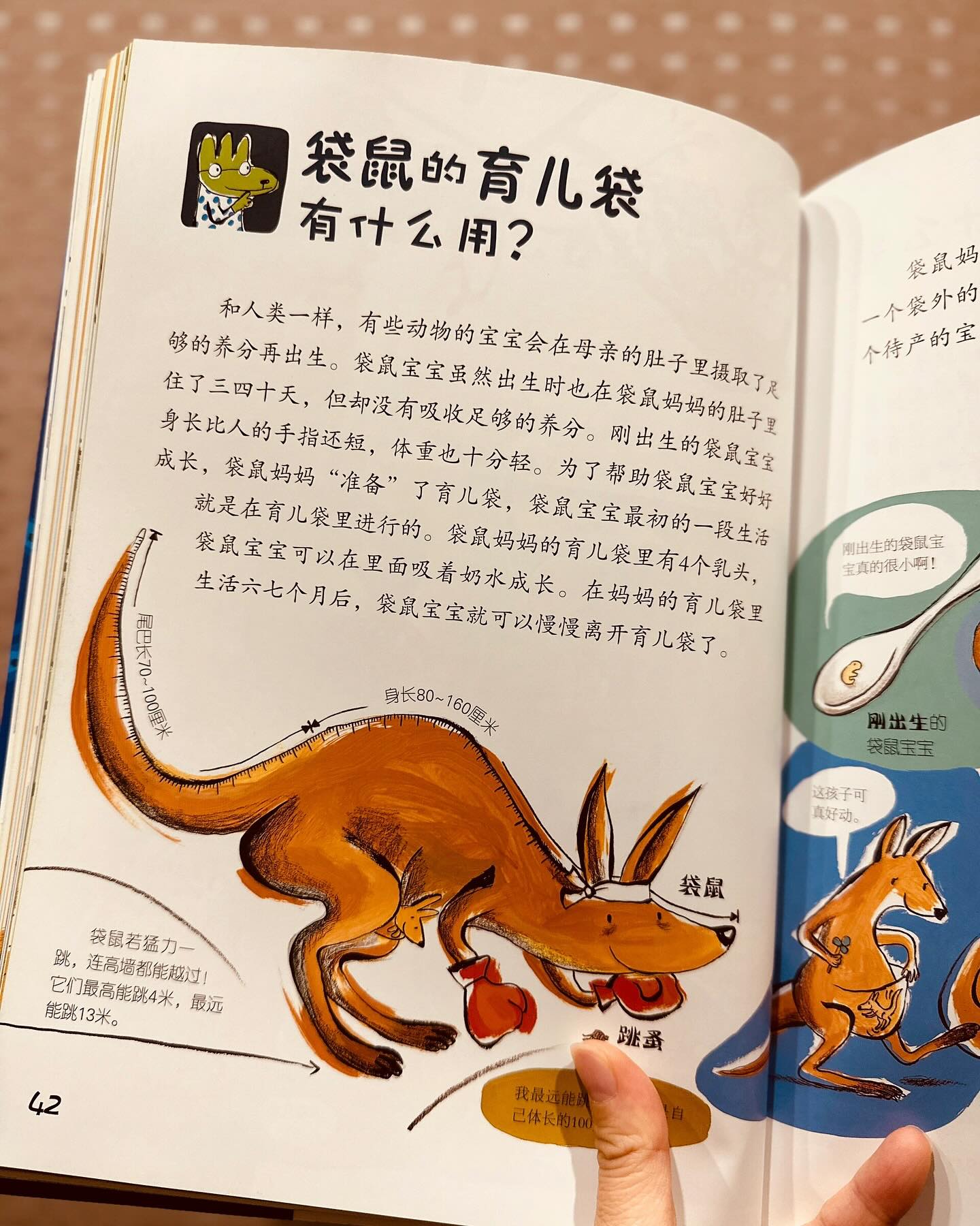 儿童好奇心大百科