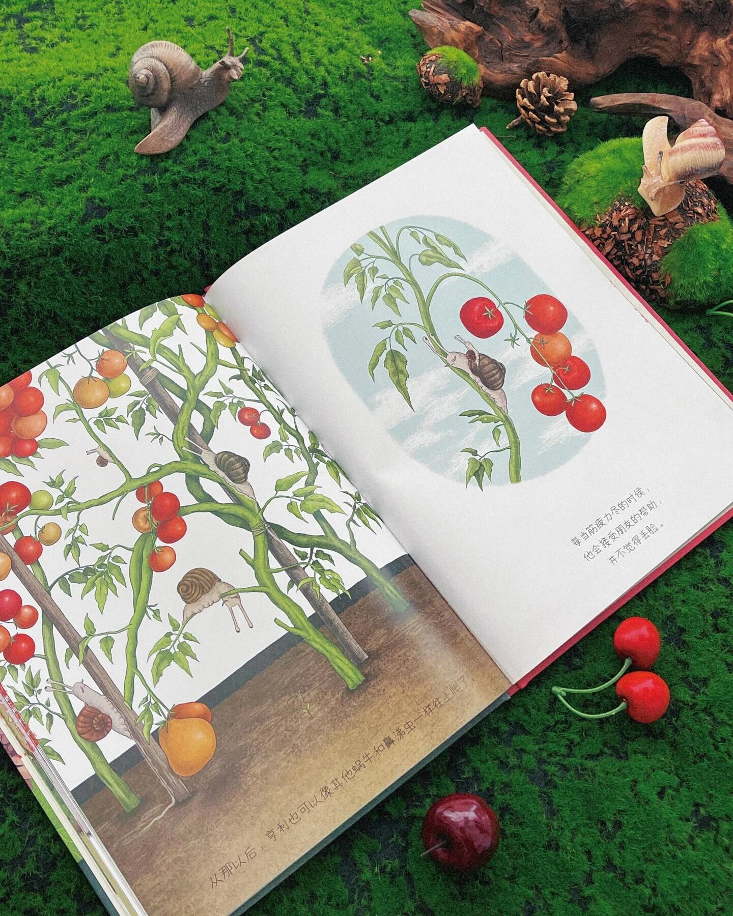 没有粘液的蜗牛