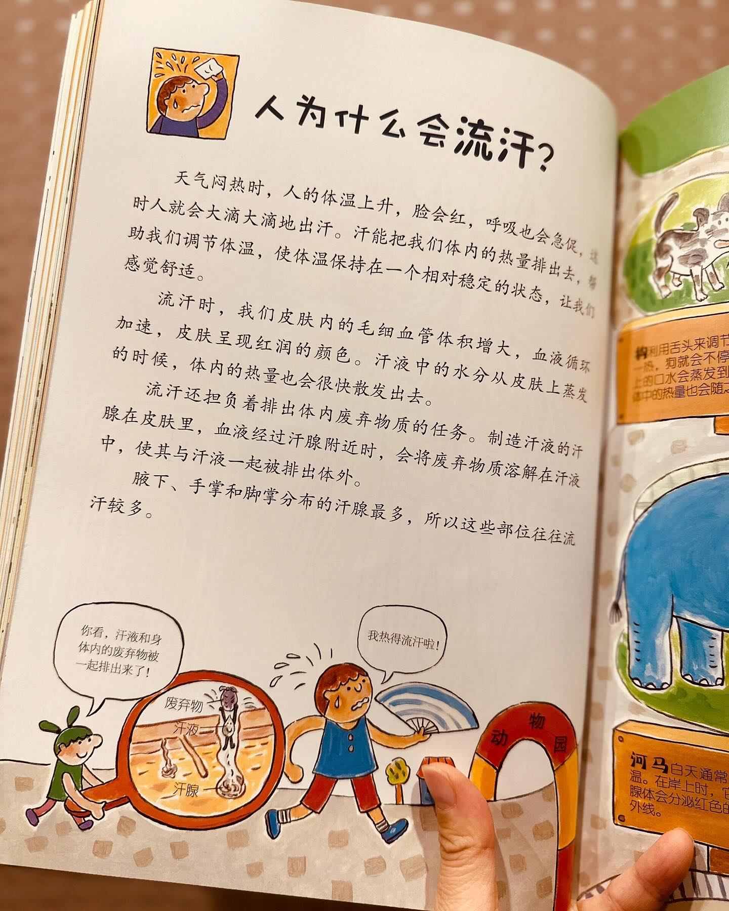 儿童好奇心大百科