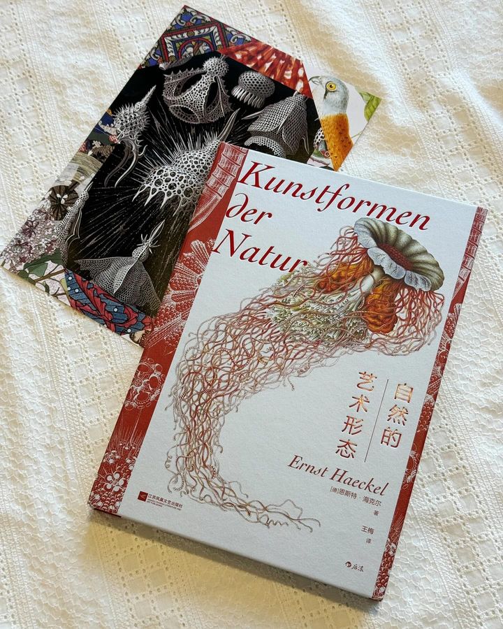 自然的艺术形态