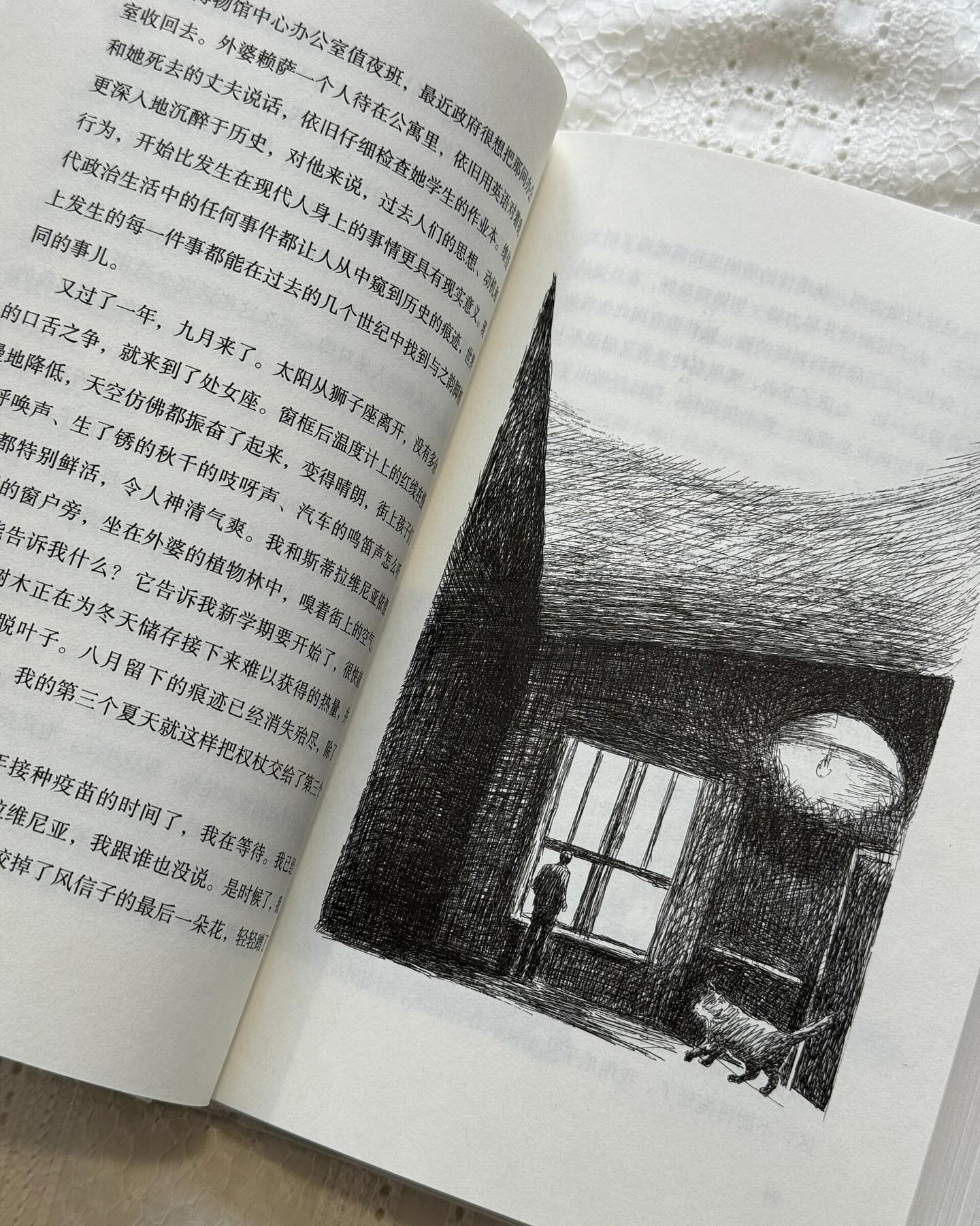 莫斯科小猫