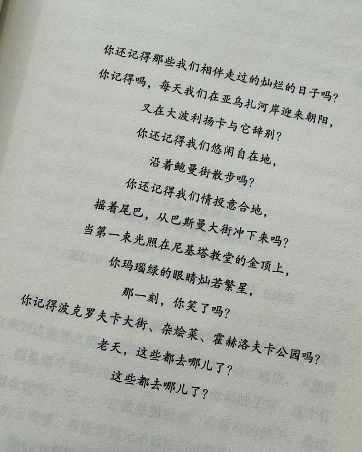 莫斯科小猫