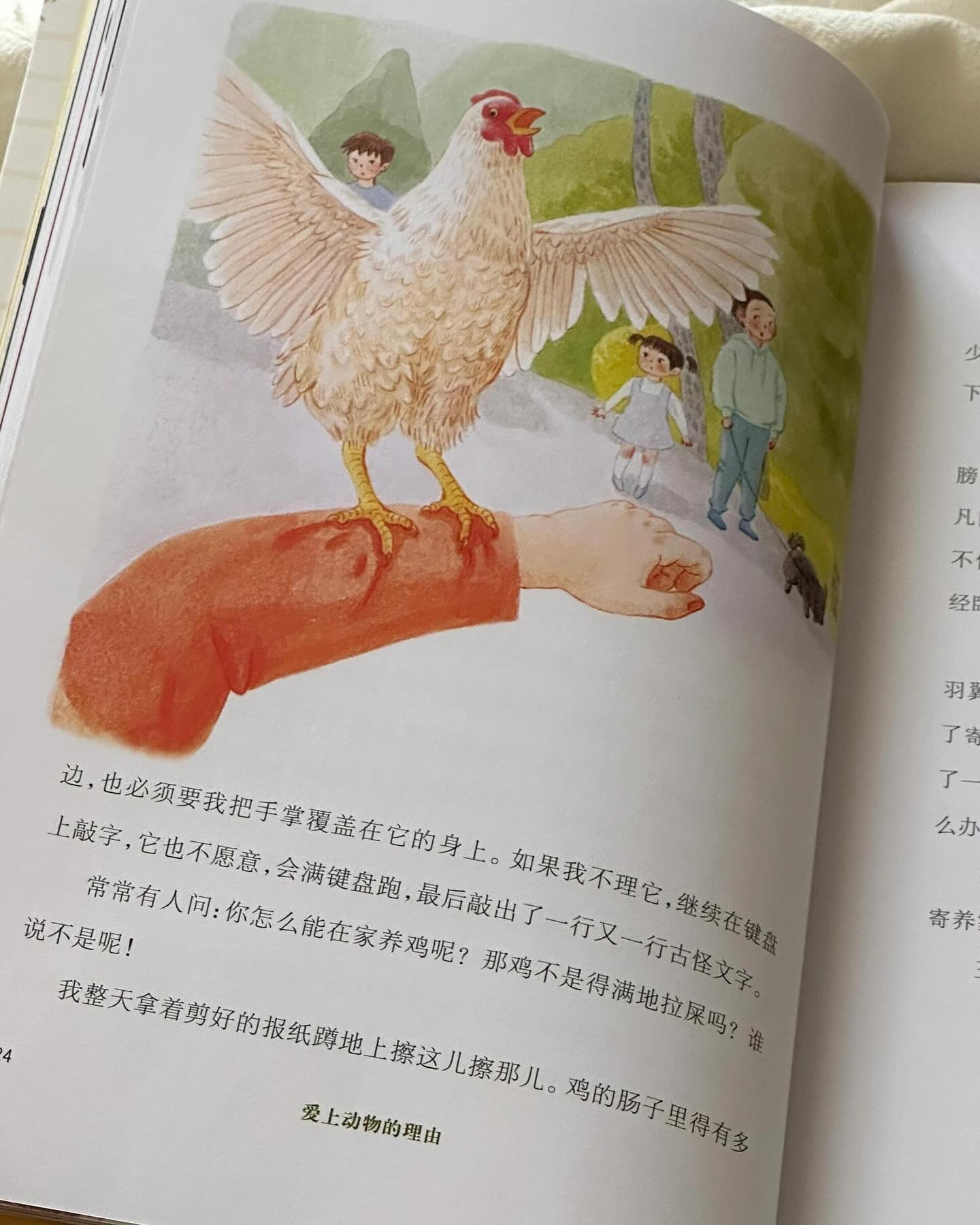 爱上动物的理由