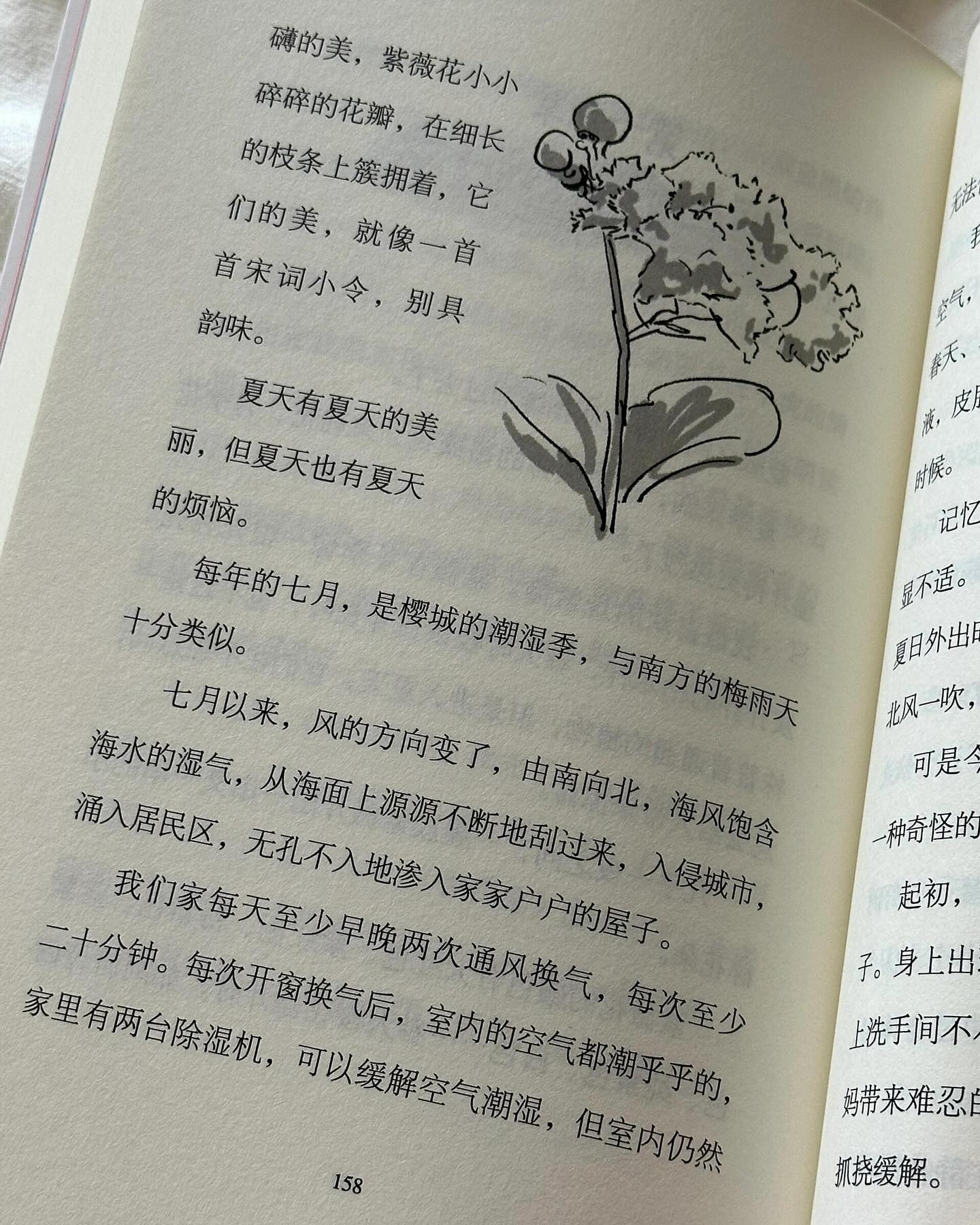 不寻常的夏天