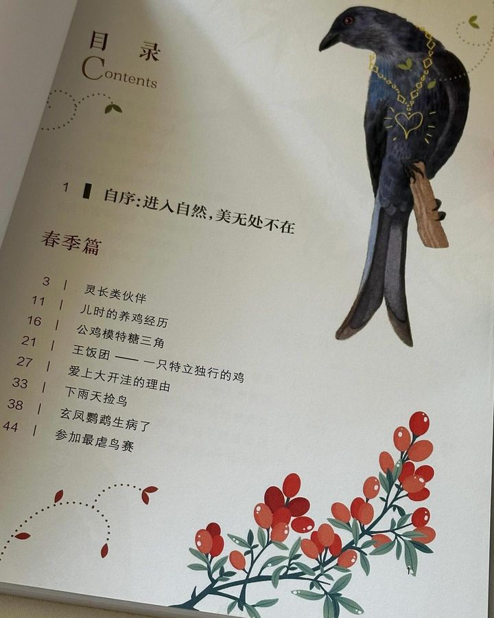 爱上动物的理由