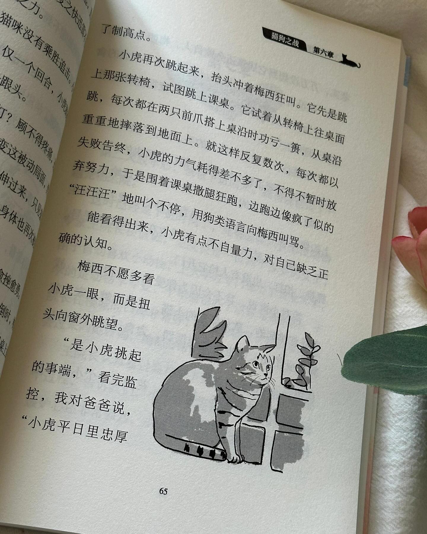 不寻常的夏天