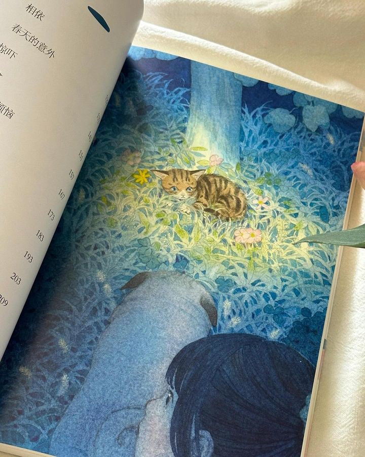 不寻常的夏天