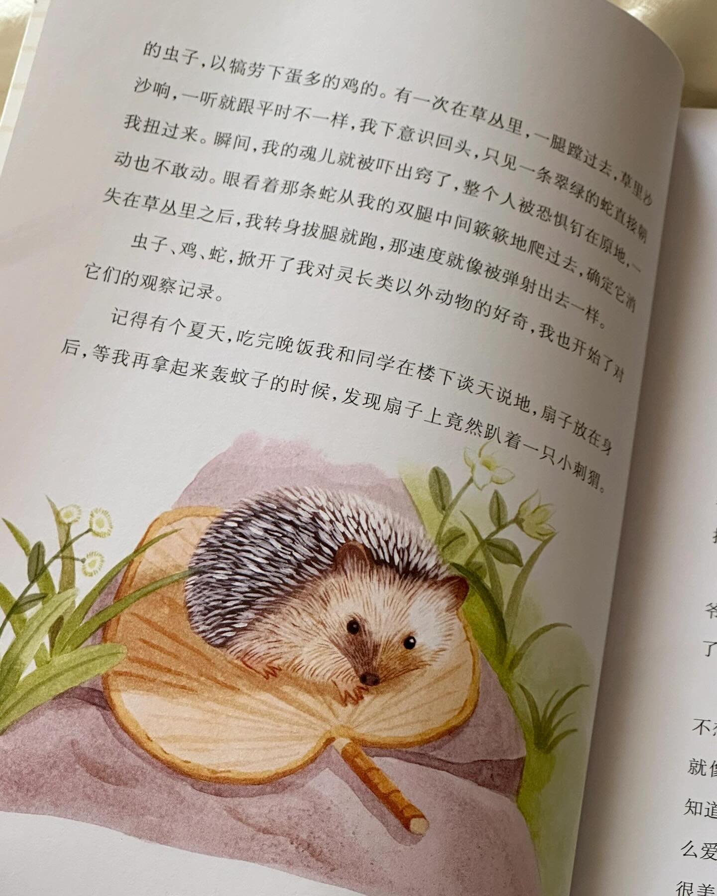 爱上动物的理由