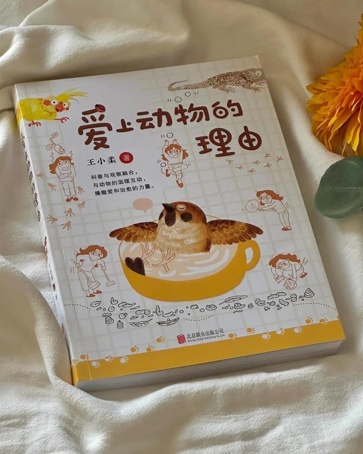 爱上动物的理由