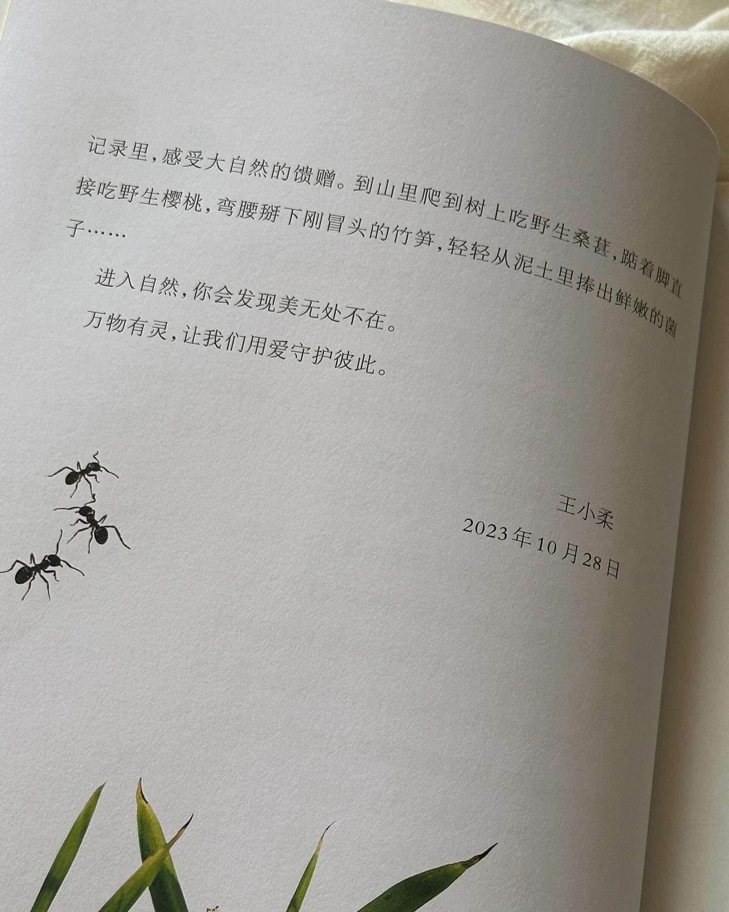 爱上动物的理由