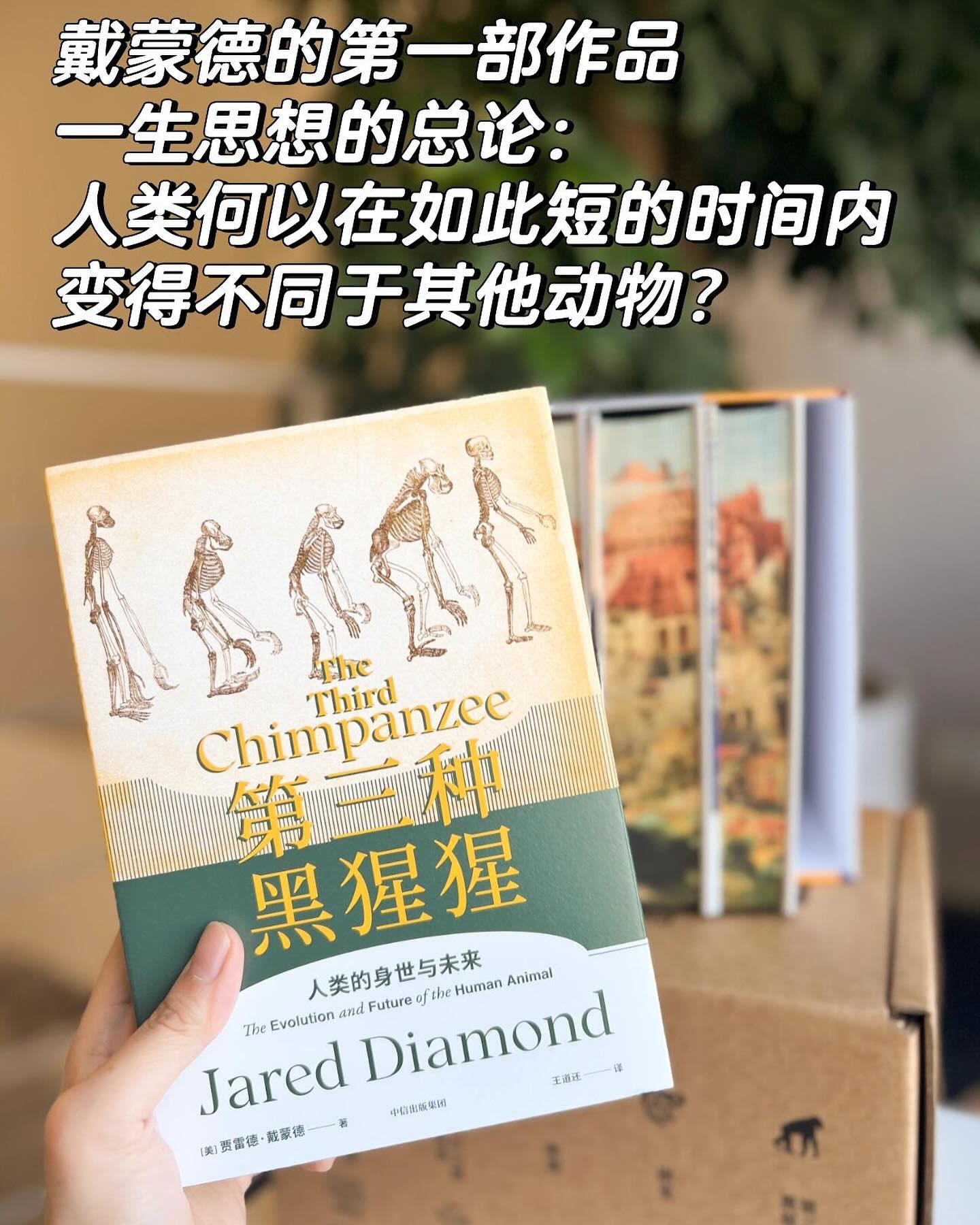 戴蒙德刷边特装系列(全5册)