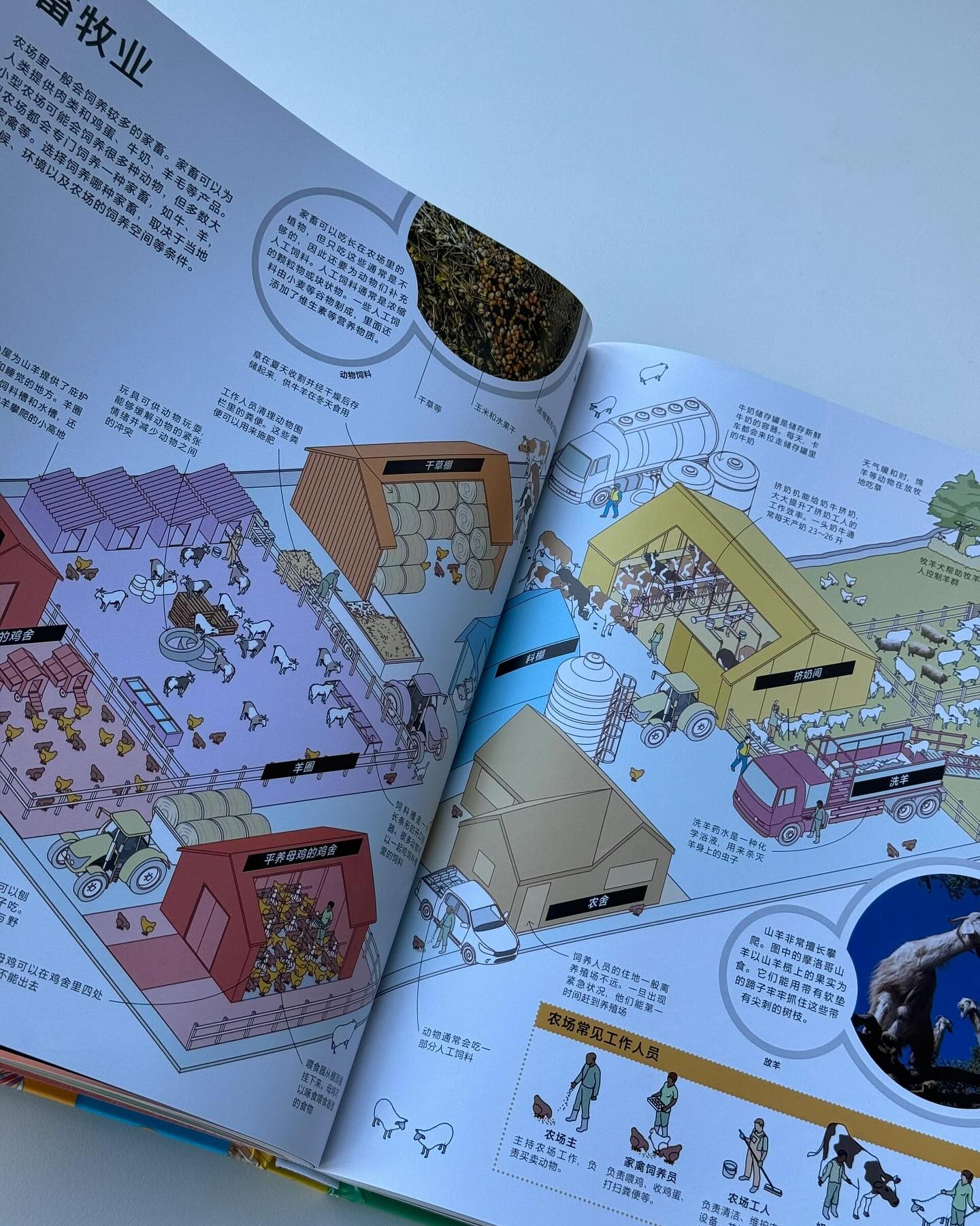 DK拆解万物大百科