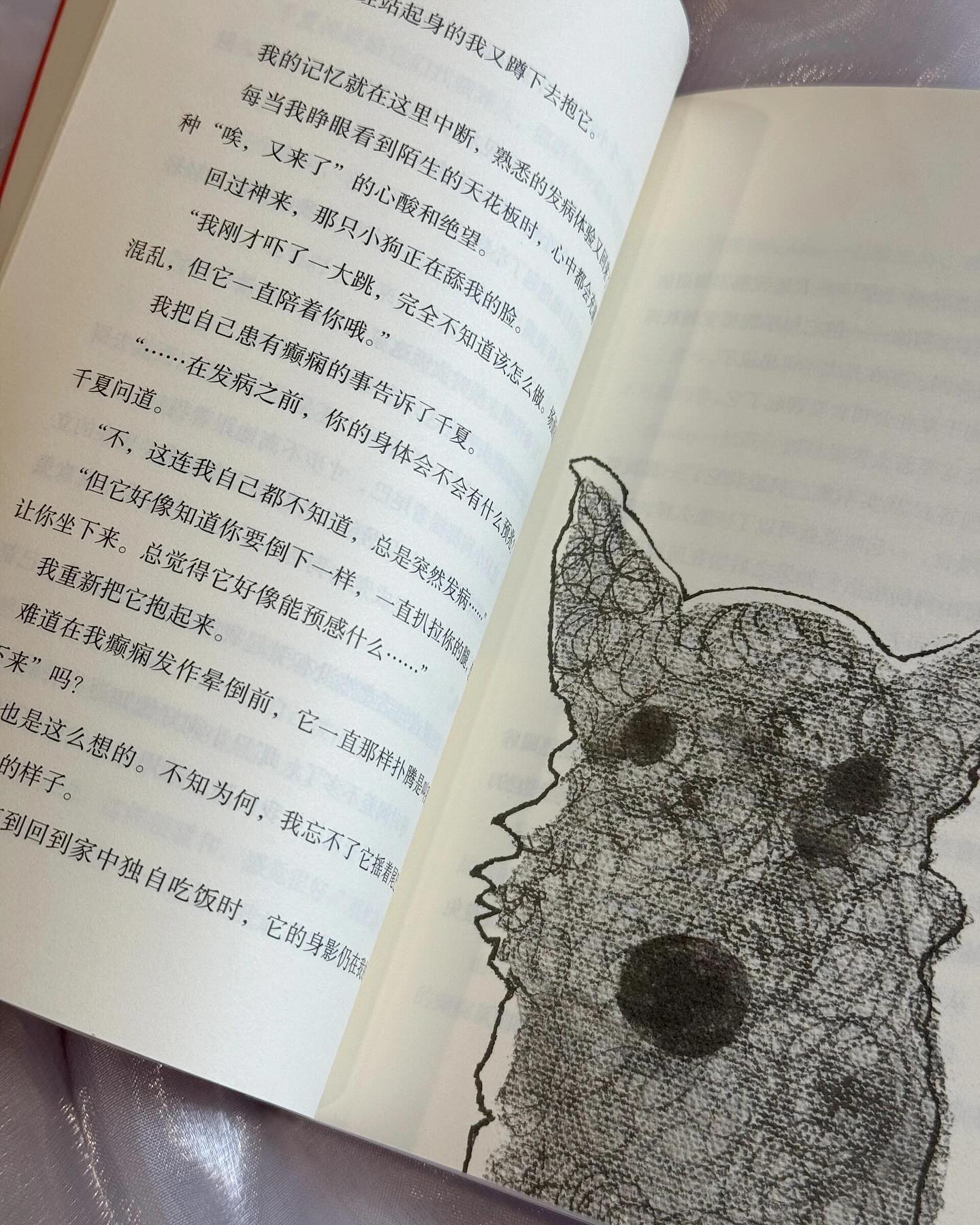 从狗狗那里听来的好故事