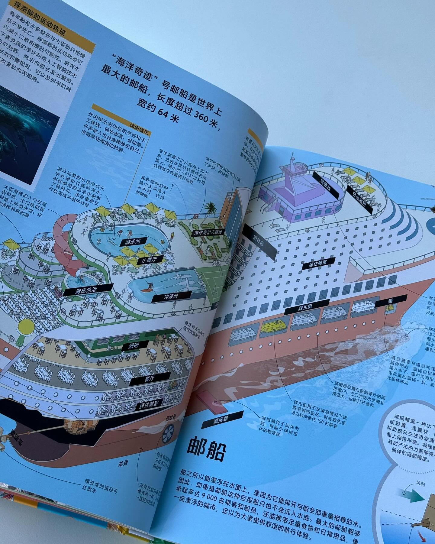 DK拆解万物大百科