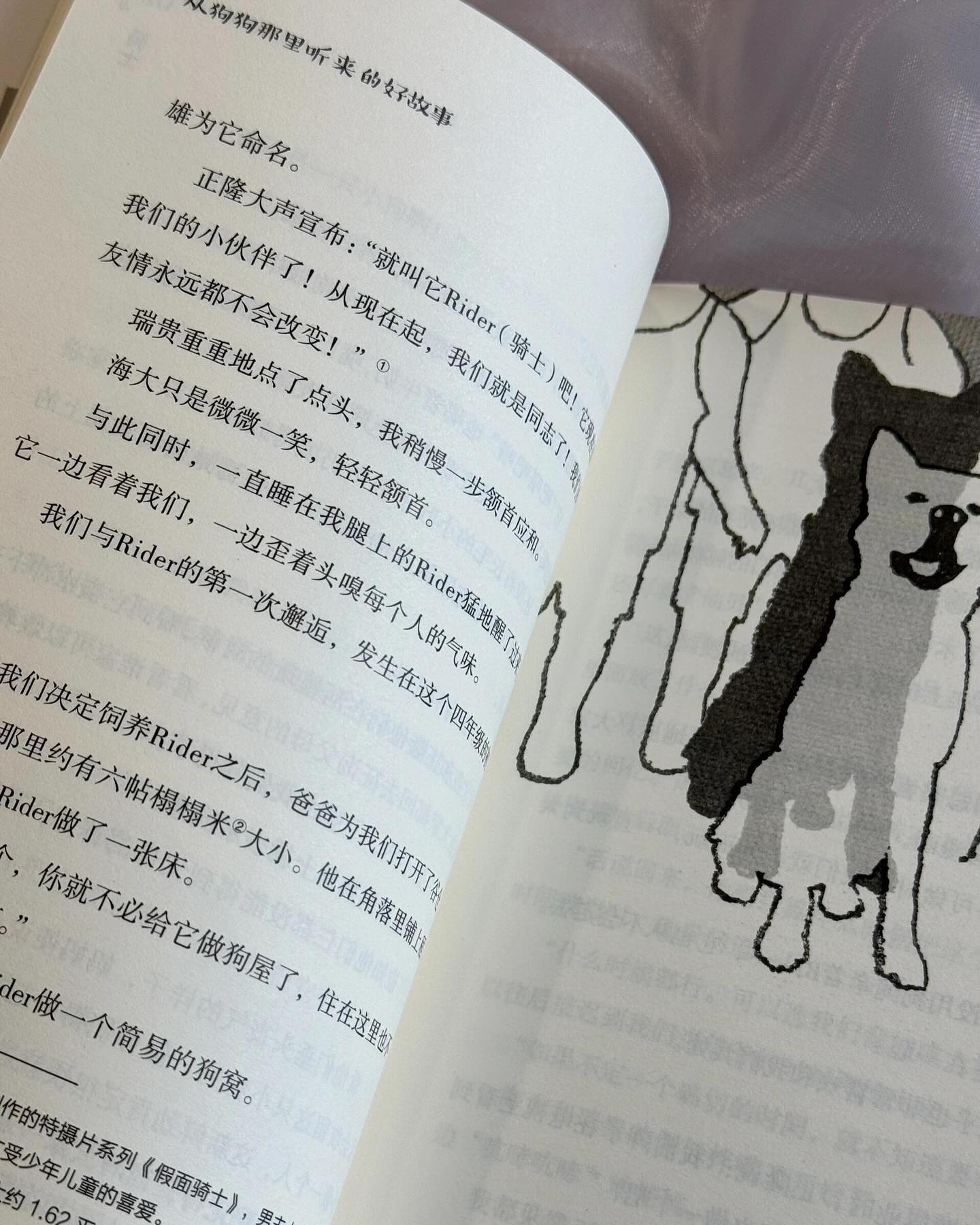 从狗狗那里听来的好故事