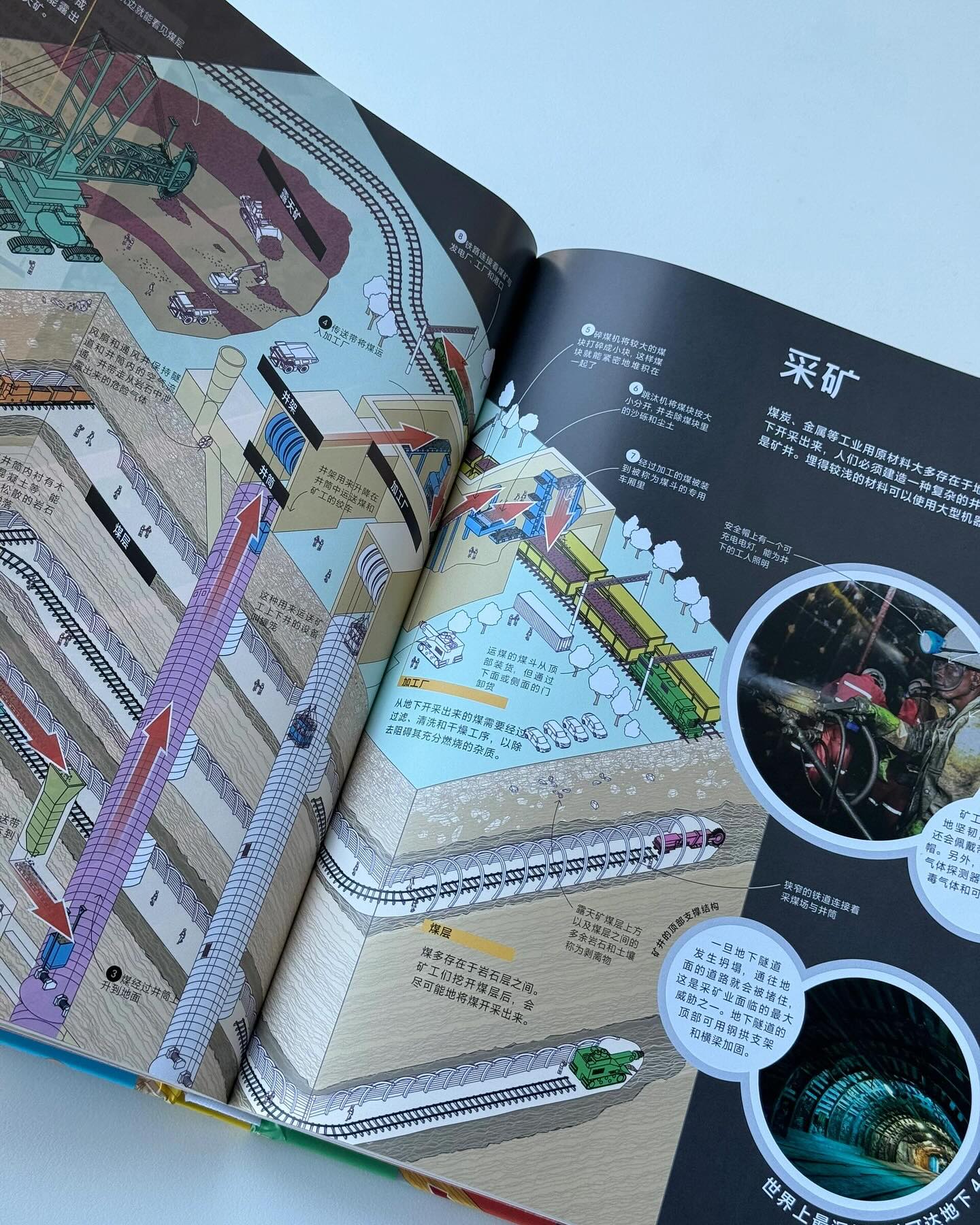 DK拆解万物大百科