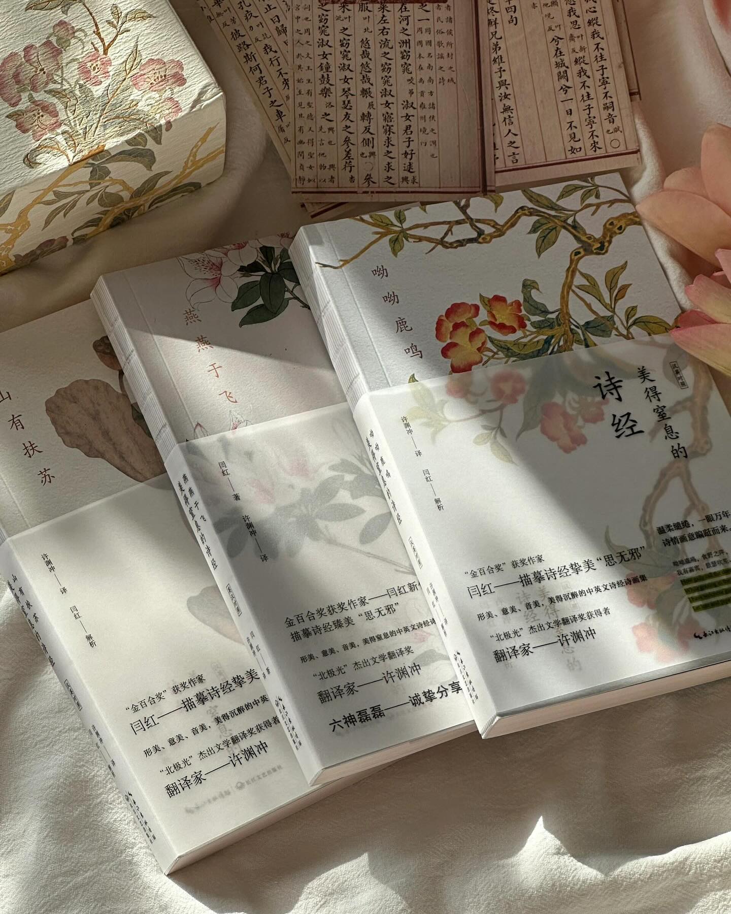 许渊中:诗经(全3册)
