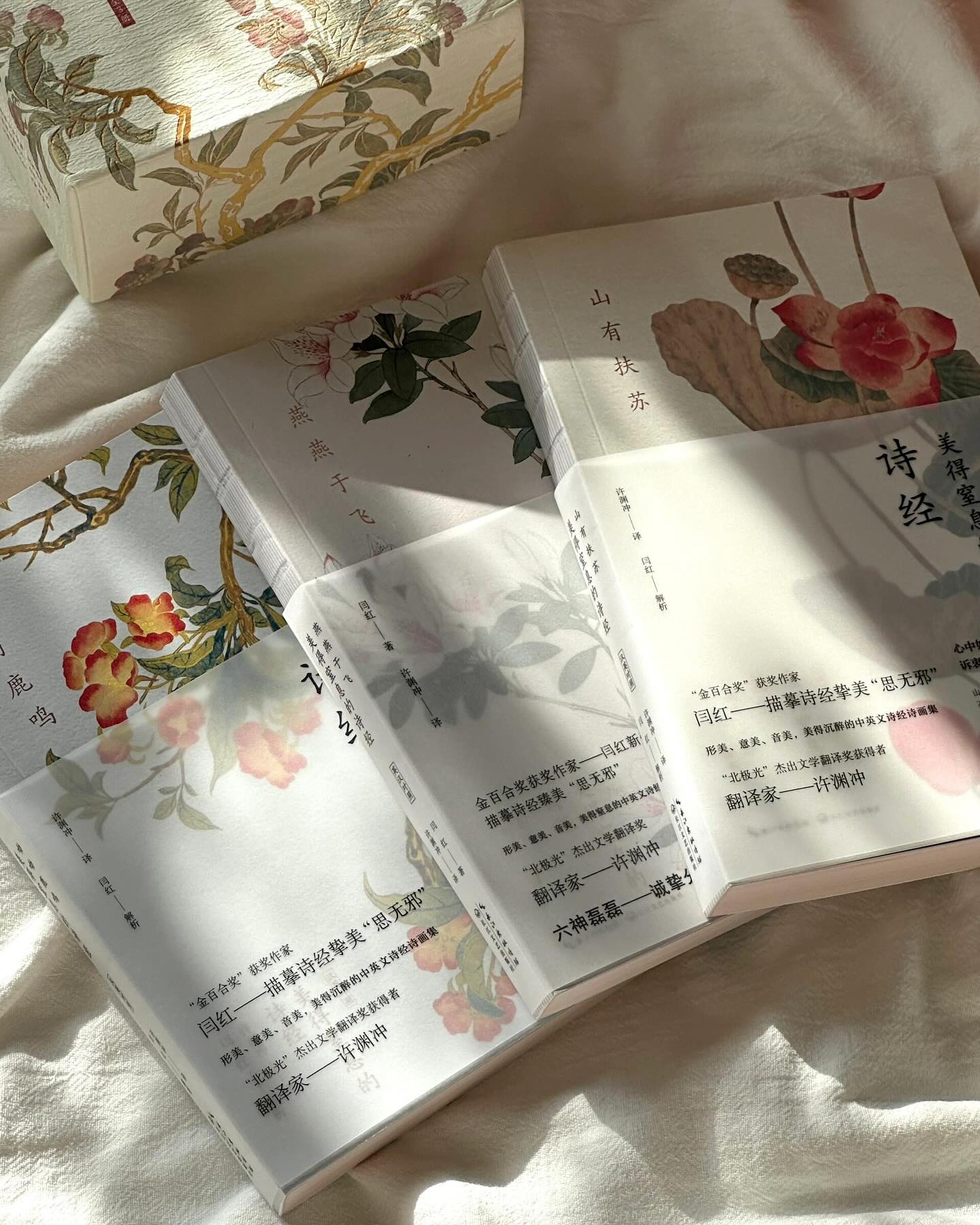 许渊中:诗经(全3册)