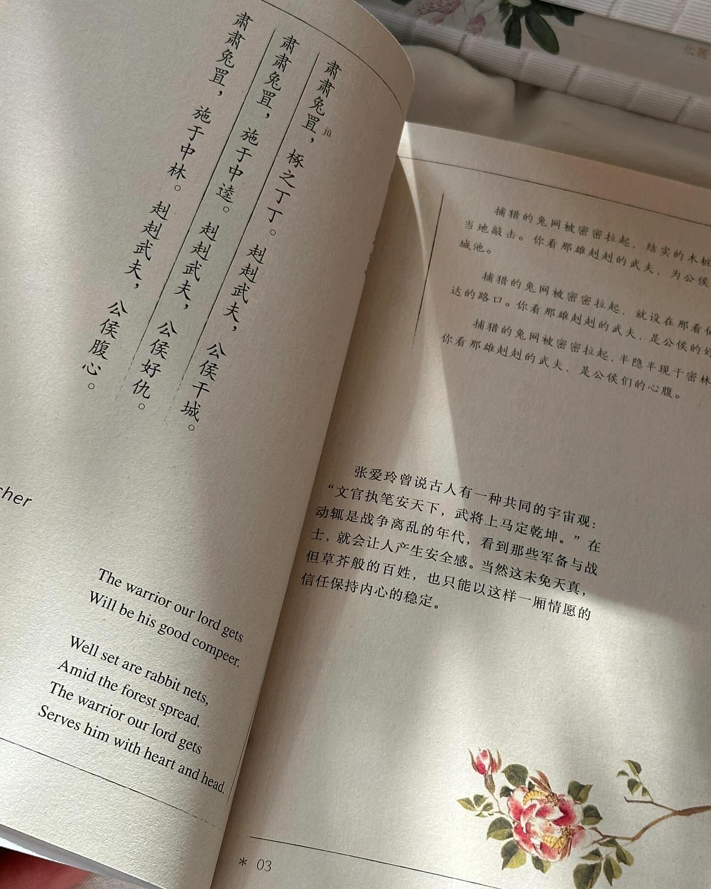 许渊中:诗经(全3册)