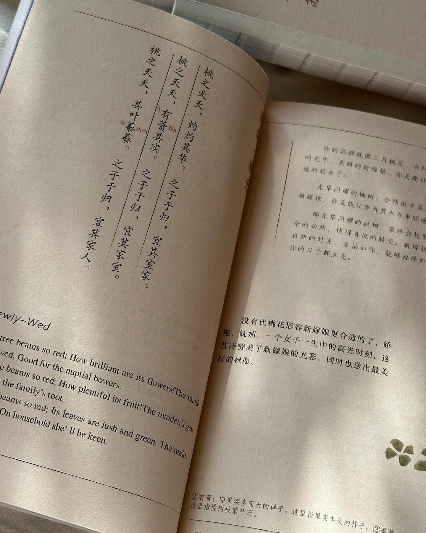 许渊中:诗经(全3册)