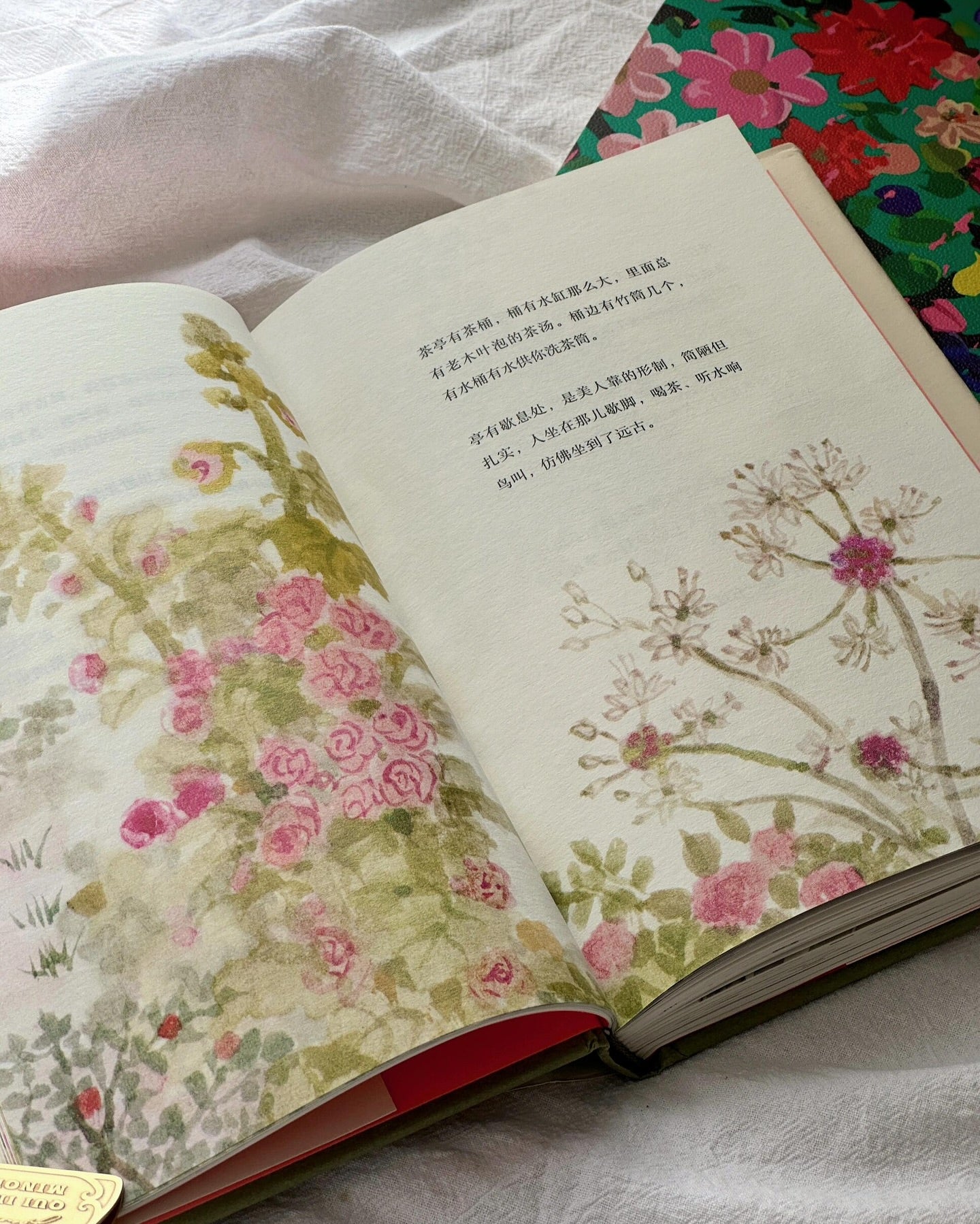 人间任天真