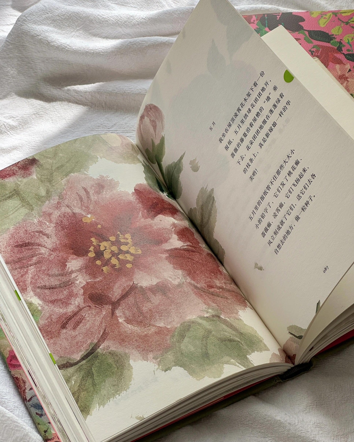 人间任天真