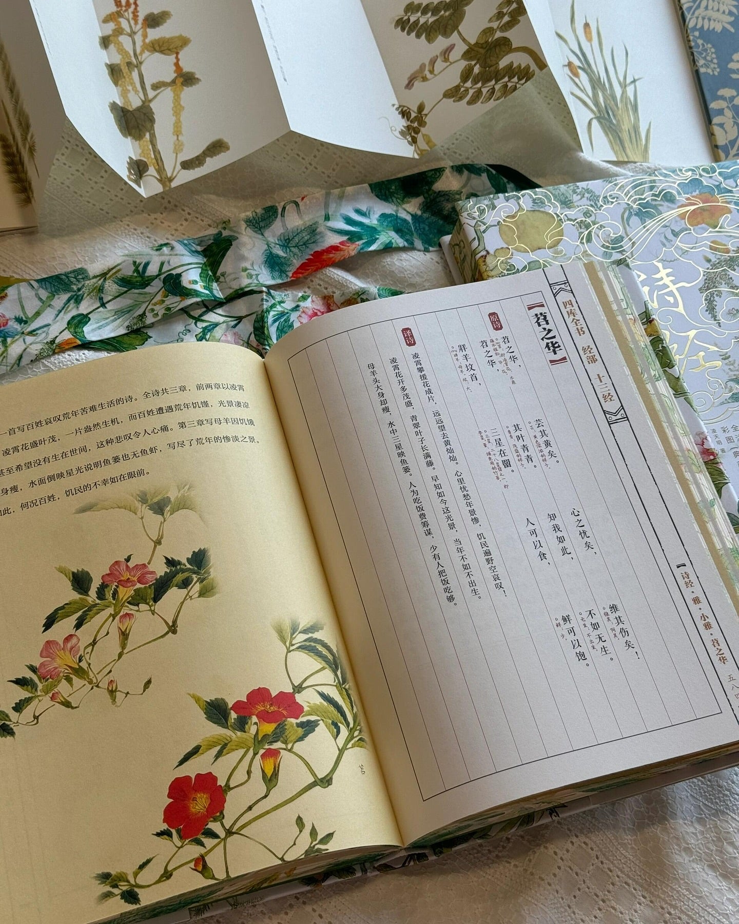 诗经·全彩全注典藏版