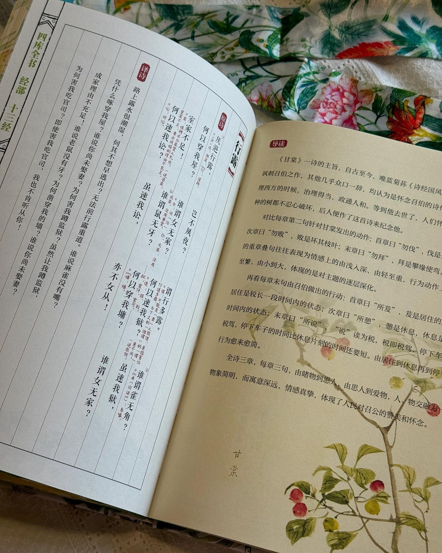 诗经·全彩全注典藏版