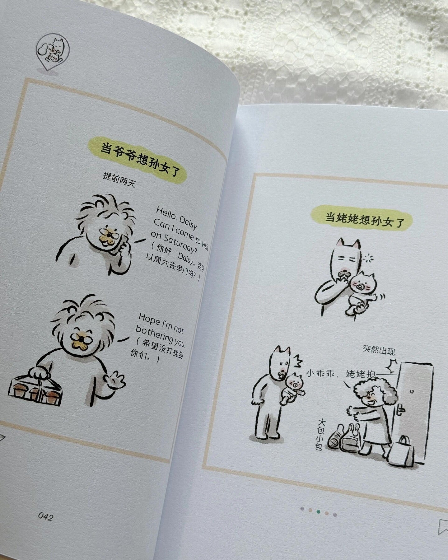 世界是你的猫窝