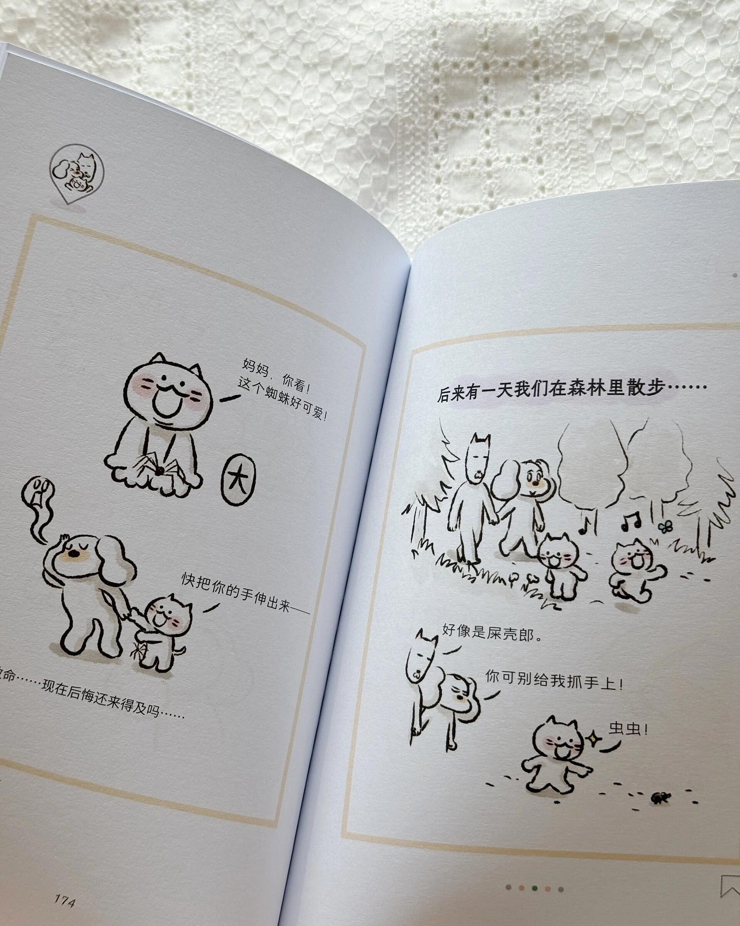 世界是你的猫窝