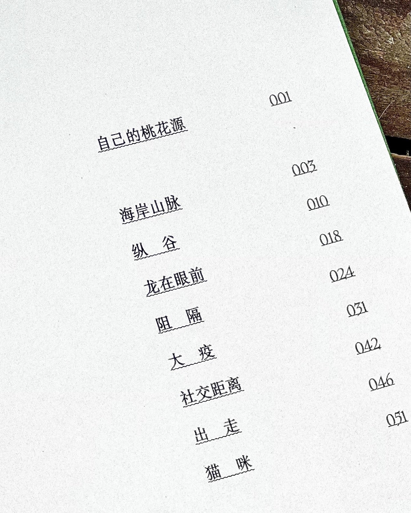 龙仔尾·猫